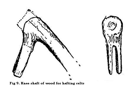 Knee-shaft of wood for hafting celts
