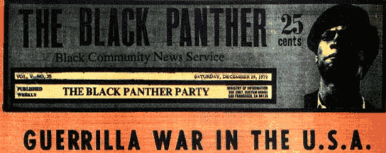 Black Panther Social Programs