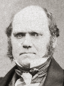 Retrato Charles Robert Darwin